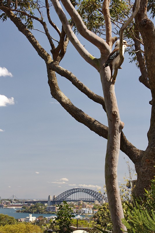 2009-11-06 22-06-27_3.jpg - ...schon wieder zwei Wahrzeichen auf einmal!